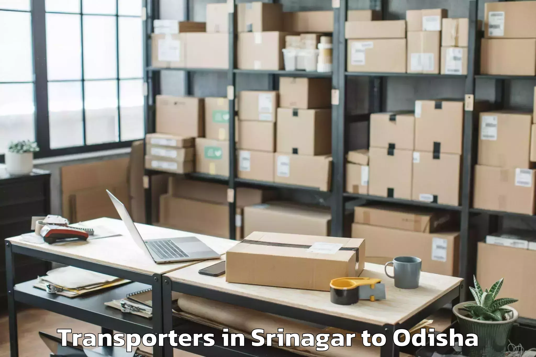 Quality Srinagar to Kendujhar Transporters